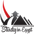 Small Header Study in Egypt logo