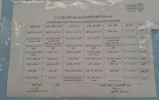 الدبلوم الخاص